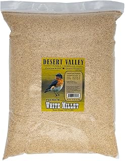 Desert Valley White Millet Seed, All Natural, Non-GMO Premium Wild Bird Food for Cardinals, Finch, Song Birds, Buntings and More (10 Pounds)