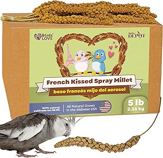 Birds LOVE French Kissed Spray Millet for Birds - Parakeets, Cockatiels, Lovebirds, Finches, Budgies, Canaries, Cockatoos - Natural & Healthy Bird Millet - Parakeet Food & Treats for All Parrots 5lbs