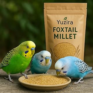Yuzira Foxtail Millet for Birds